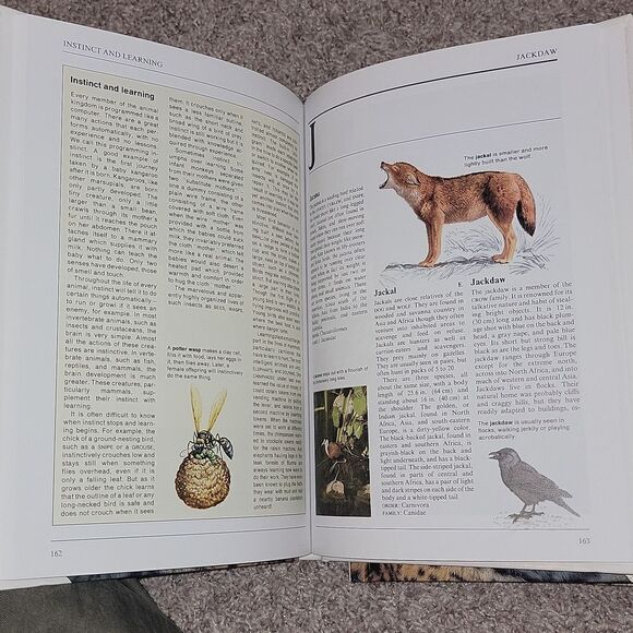 Collier's Illustrated Encyclopedia of Animals - Aardvark to Zorille + 2,000 More - Picture 12 of 14